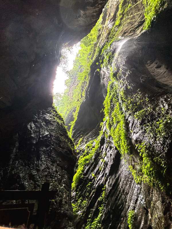 Cave interior with moss and light at Three Natural Bridges, Wulong Kars