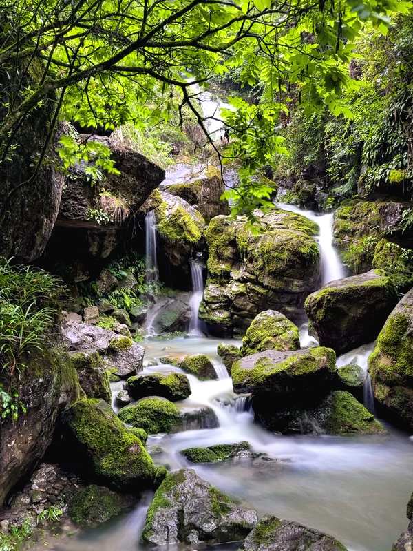 Longshuixia Gorge waterfall over mossy rocks, Wulong Karst