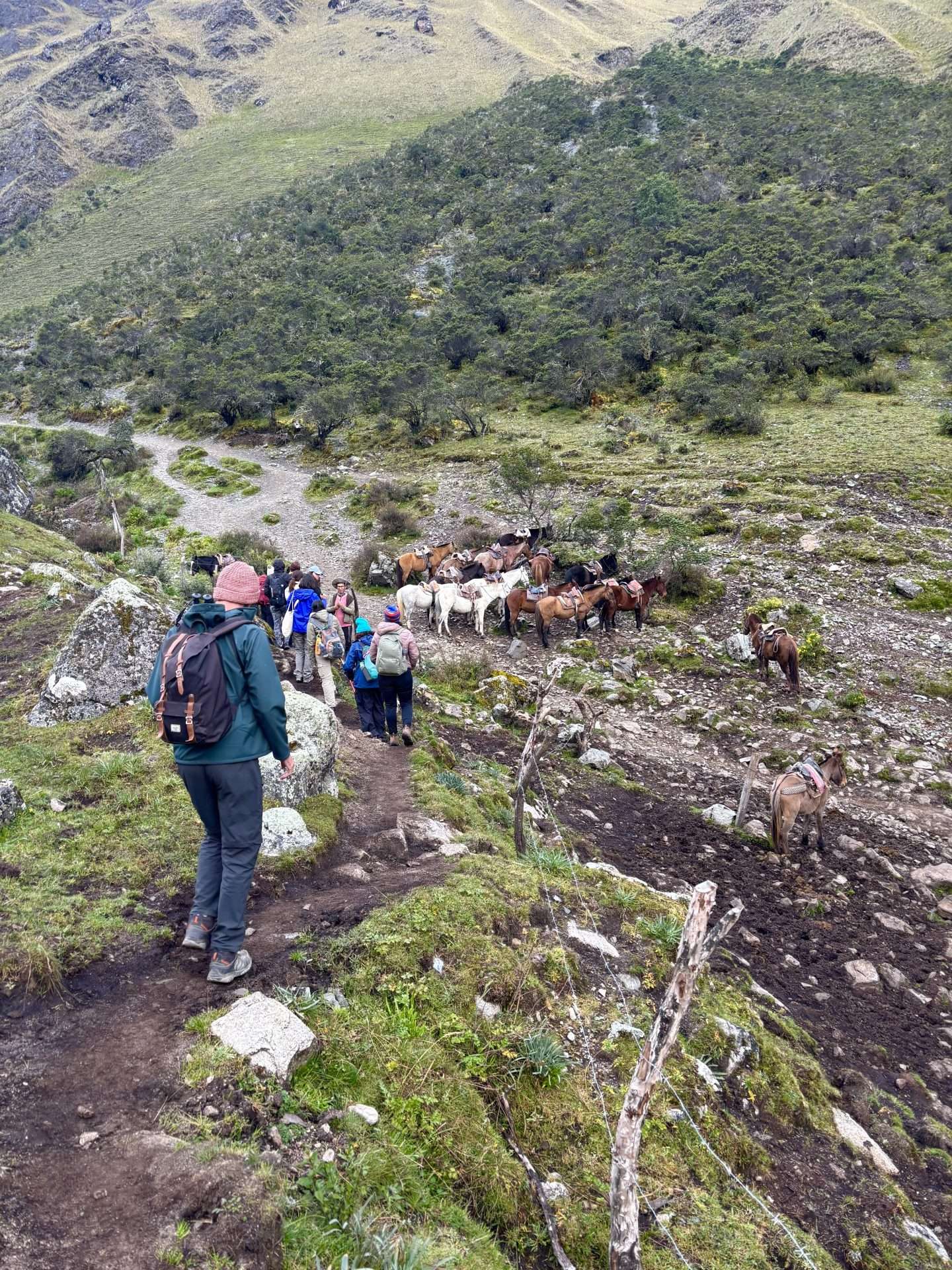 Porters and mules