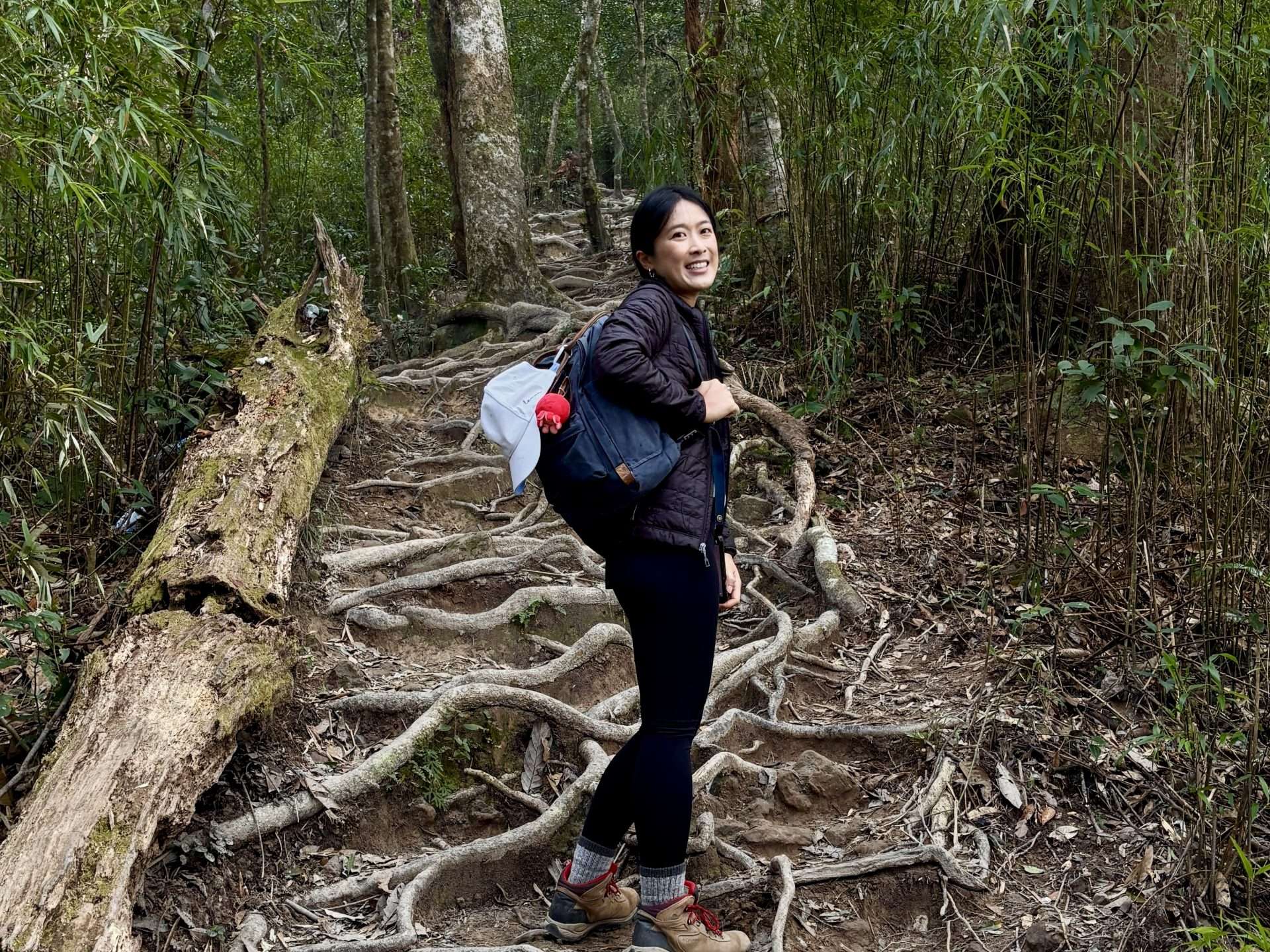 Hiking trail covered in tree roots