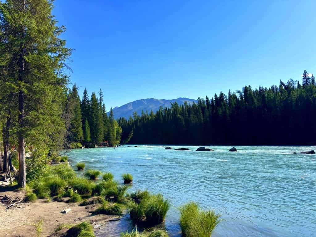 View of Kanas Lake, Xinjiang, from the shoreline walkway