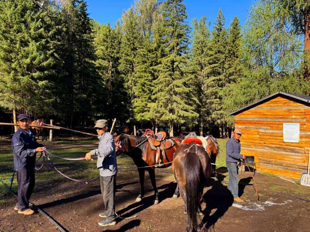 Getting horses ready for the canyon riding tour near Baihaba Village, Xinjiang