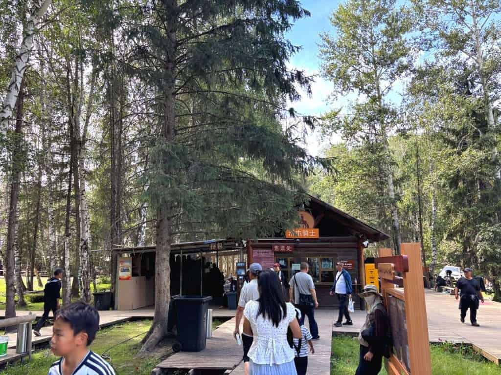 Wooden horse riding ticket office at the edge of a birch forest in Hemu Village, with tourists walking past