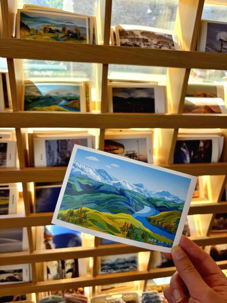 Inside the travel bookshop cafe, full of trinkets and cats