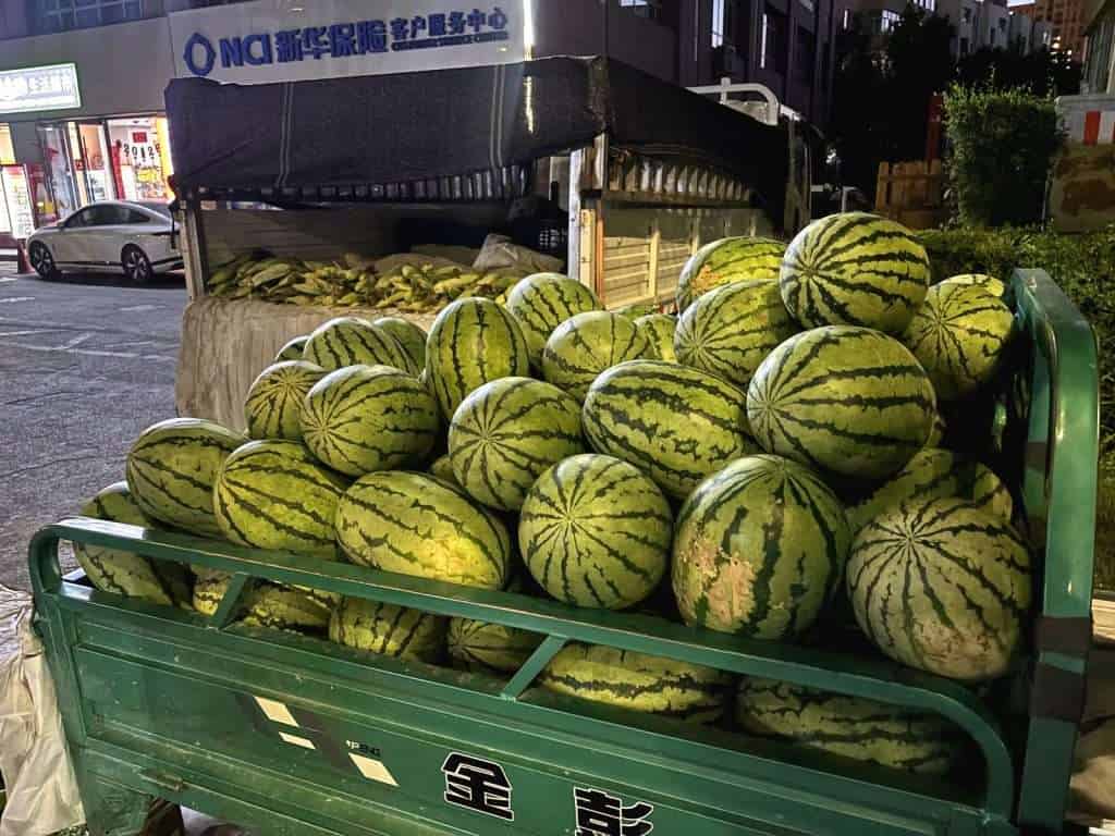 Watermelon vendor transport in Altay